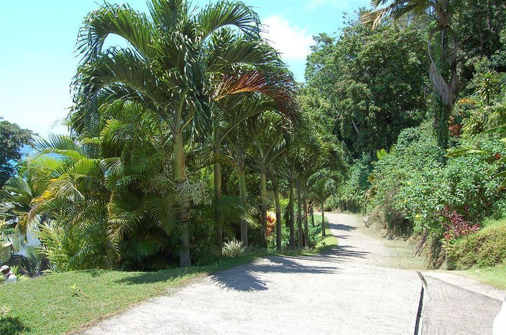 Sailfish Beach Villas Anse a La Mouche Bagian luar foto