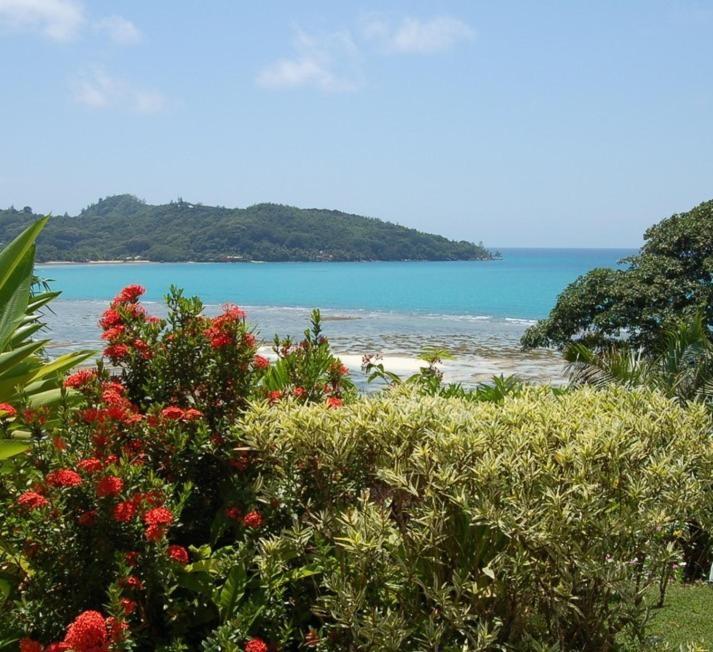 Sailfish Beach Villas Anse a La Mouche Bagian luar foto
